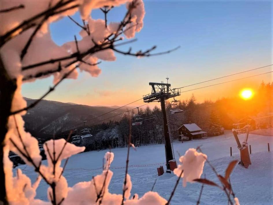 Ubytovani U Janicky Klíny Exterior foto